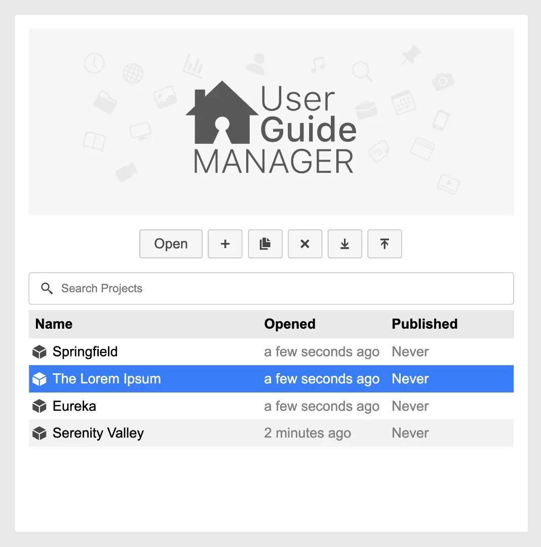 Projects User Interface
